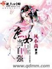 红楼梦殇之风月无边